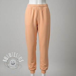 Sweat PREMIUM apricot ice