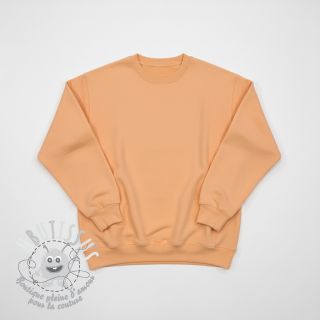 Sweat PREMIUM apricot ice