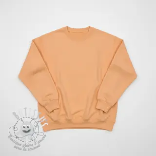 Sweat PREMIUM apricot ice