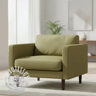 CANVAS olive