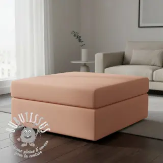 CANVAS blush