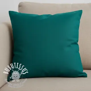 CANVAS dark cyan