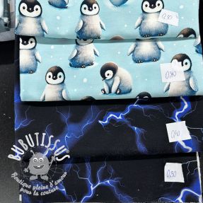 Paquet de tissus sweat design digital print 0360