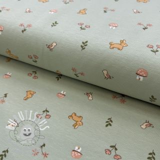 Jersey Bunnies sage ORGANIC