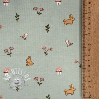 Jersey Bunnies sage ORGANIC