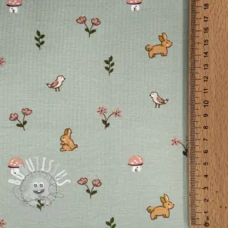 Jersey Bunnies sage ORGANIC