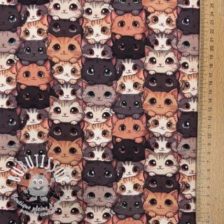 Jersey Cats digital print