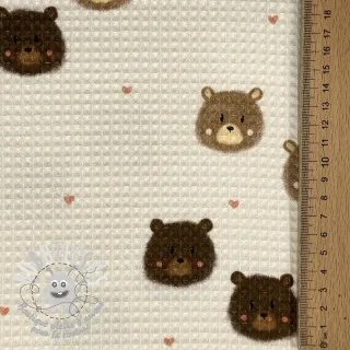 Tissu nid d’abeille Bears digital print