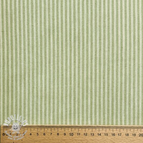 Tissu déco DOBBY Colored stripe light green