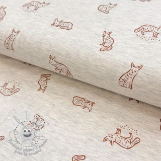 Jersey Hidden foxie ecru melange