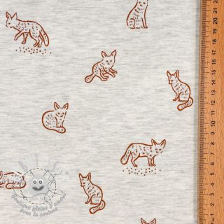 Jersey Hidden foxie ecru melange
