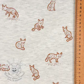 Jersey Hidden foxie ecru melange