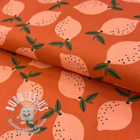 Tissu déco Fruits design F