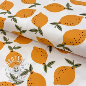 Tissu déco Fruits design E