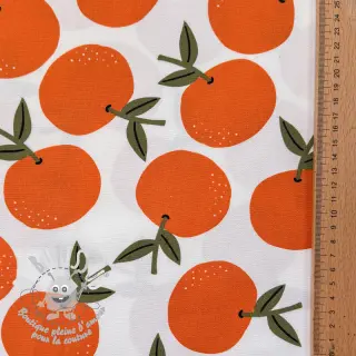 Tissu déco Fruits design C