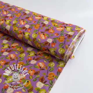 Viscose RAYON POPLIN Fruity design C