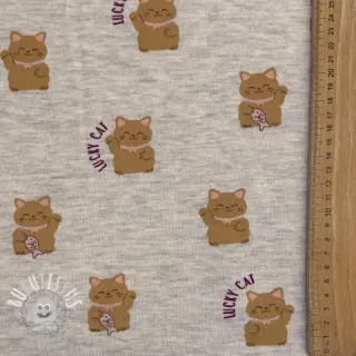 Sweat envers minkee Lucky cat off white melange