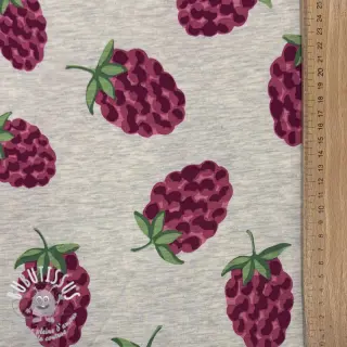 Jersey Raspberries ecru melange