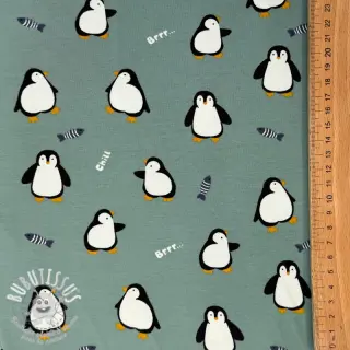 Jersey Penguins sage digital print