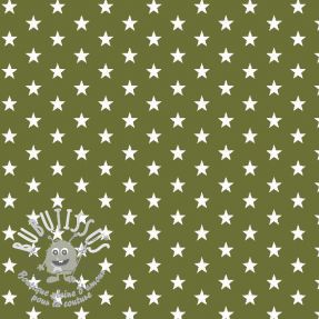 Tissu coton Petit stars green