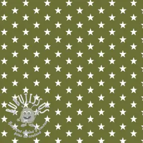Tissu coton Petit stars green
