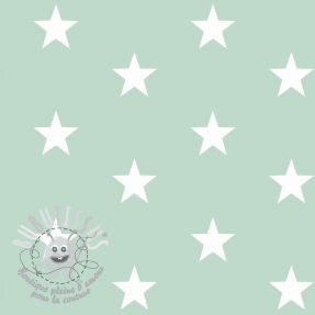 Tissu coton Stars mint