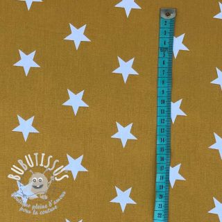 Tissu coton Stars fresh sage