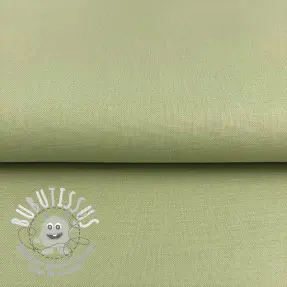 CANVAS dark mint