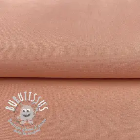 CANVAS blush