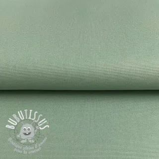 CANVAS old green