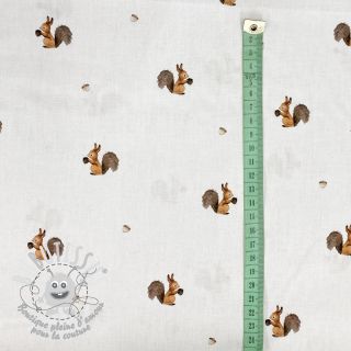 Tissu coton Squirrel white digital print