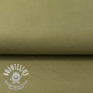 CANVAS olive