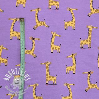 Jersey Giraffes lavender