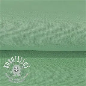 CANVAS mint