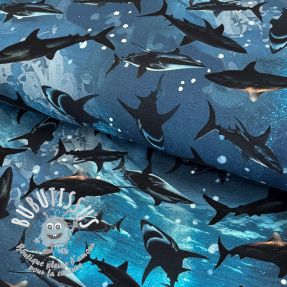 Jersey Great shark digital print 2nd class
