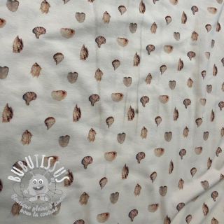 Jersey Baby Seashells digital print 2nd class