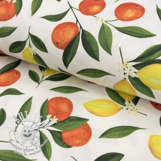 Tissu déco avec finition en Teflon Citrus Fruit