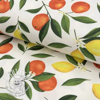 Tissu déco avec finition en Teflon Citrus Fruit