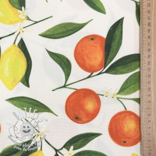 Tissu déco avec finition en Teflon Citrus Fruit