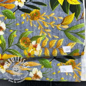 Paquet de tissus jersey digital print 2048