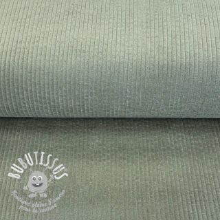 Tissu velours cotelé sage