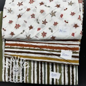 Paquet de tissus - coton 4445