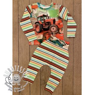 Jersey Great big farm green stripe digital print