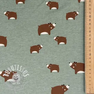 Jersey Bears dark mint melange