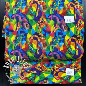 Paquet de tissus jersey digital print 2134